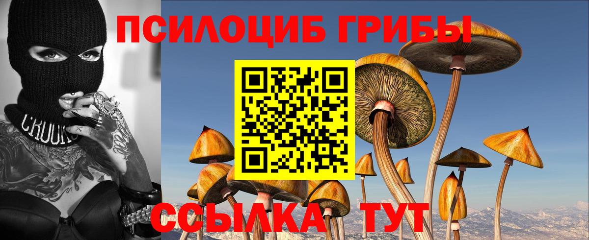 Галлюциногенные грибы мухоморы Сибай