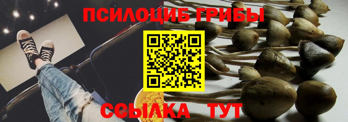 хочу   Вход с VPN  Сибай  Псилоцибиновые грибы прущие грибы 